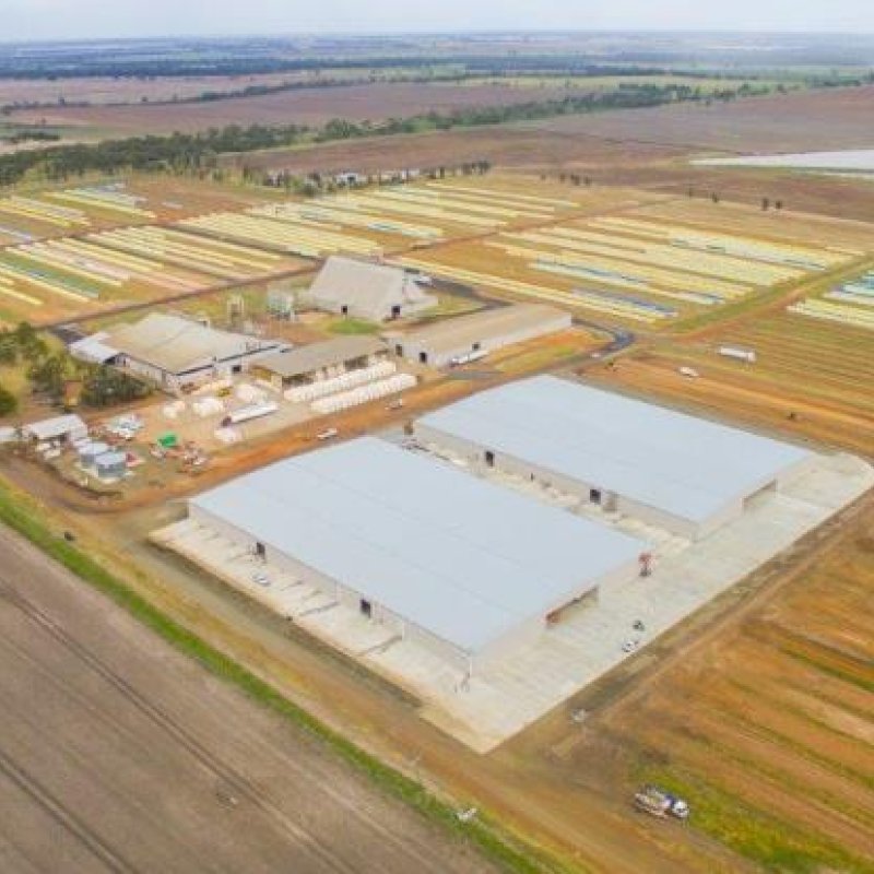 Queensland Cotton Dalby Gin Storage Sheds-Metroll